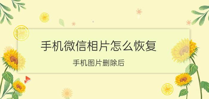 手机微信相片怎么恢复 手机图片删除后，什么软件可以找回来？